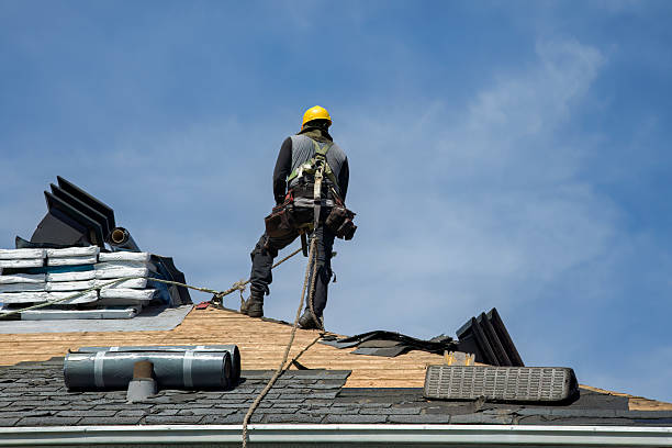 Professional Gutter Installation technician working in Brainerd, MN